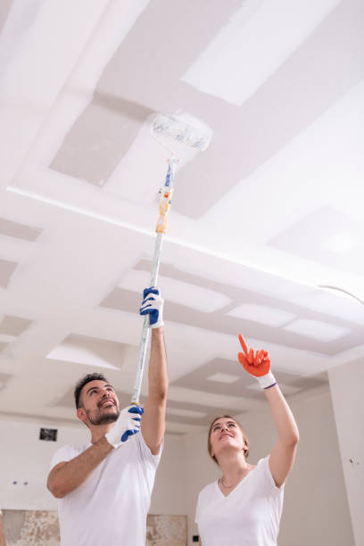 Best Ceiling Drywall Installation  in Biggs, CA